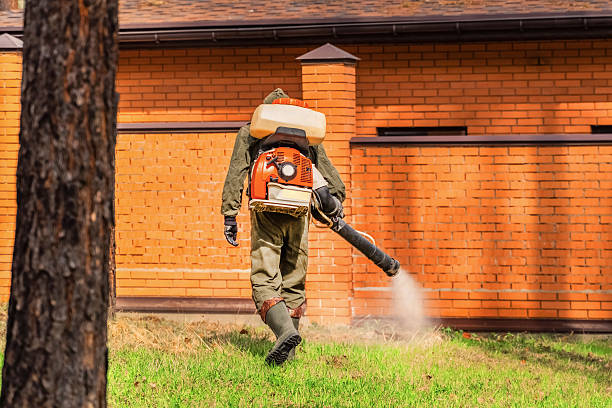 Bed Bug Clearance Verification and Documentation in New Haven